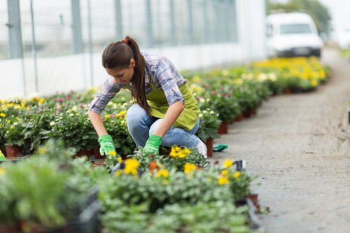 Team preparing to trim hedges in a Bow garden
